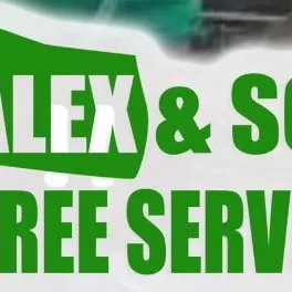 Alex & Son Tree Service LLC