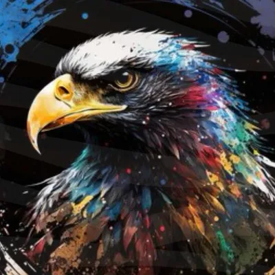 EagleSight Pro Customs