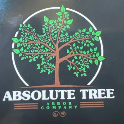 Absolute tree