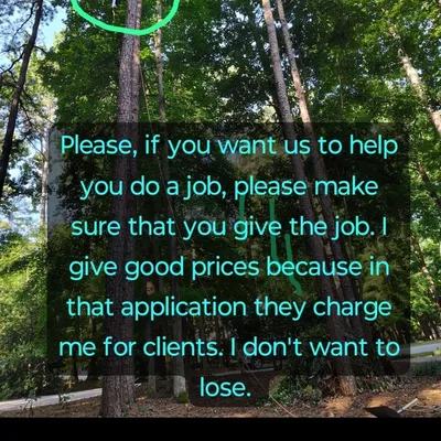 Andersito tree service