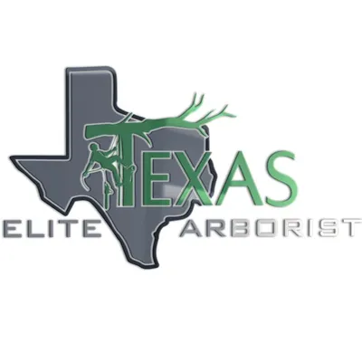 Texas elite arborist