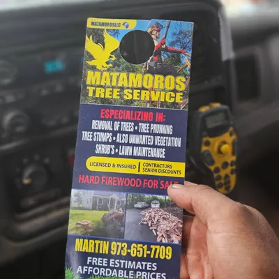 Matamoros Tree Service & Lawn care.