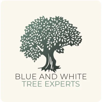 Blue and White Tree Experts