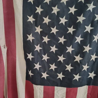 Patriot Painting