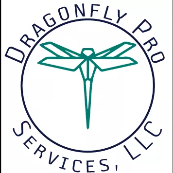 Dragonfly Pro Services LLC