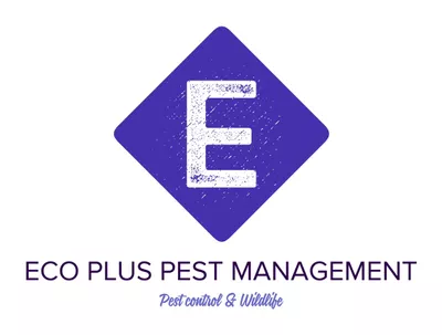 Eco Plus Pest Management & Wildlife N.Y & N.J