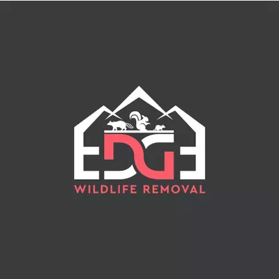 Edge Wildlife Removal