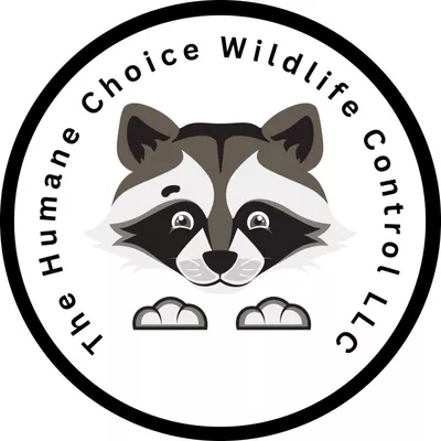 The Humane ChoiceWildlife Control llc