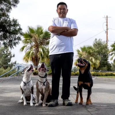 Nick’s K9 Services