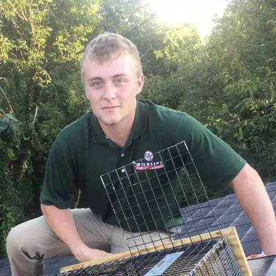 Halker’s Wildlife Control Services