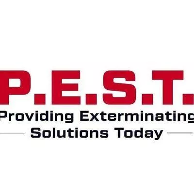 The PEST Group
