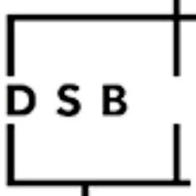 DSB-USA.CORP