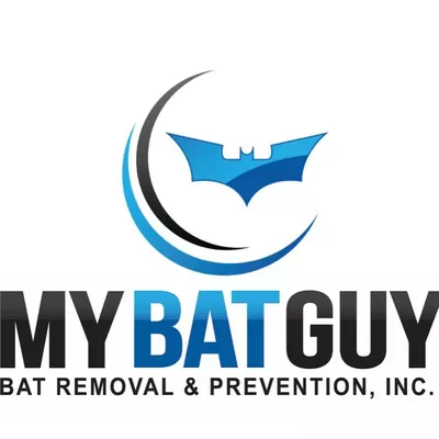 My Bat Guy