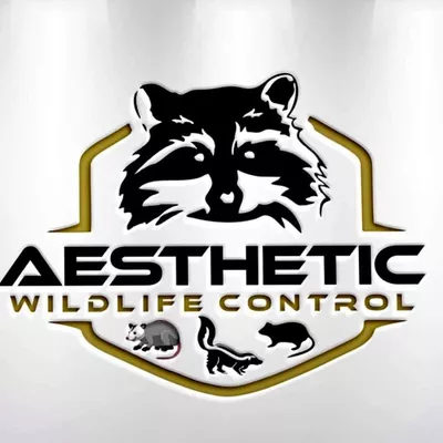 AESTHETIC RODENT AND WILDLIFE CONTROL 24/7