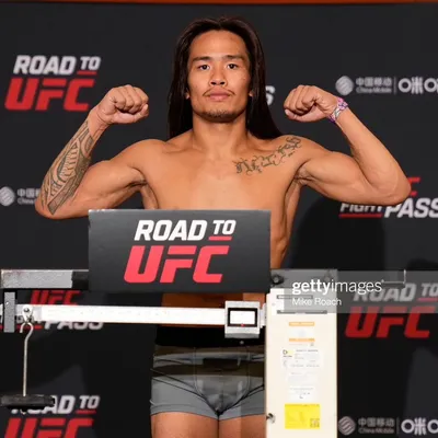 MMA/Muay Thai/Boxing/Jiu Jitsu