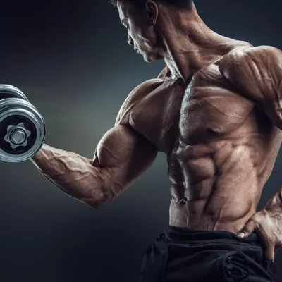 Bioforce Fitness Personal Training