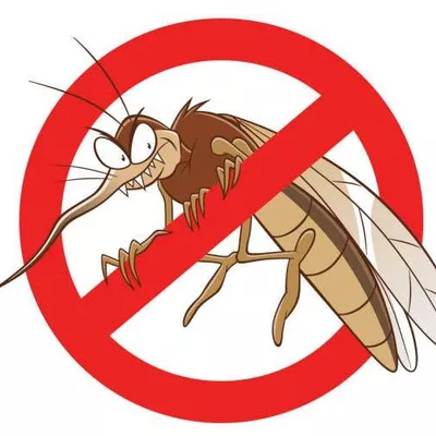 Mosquito Control And More