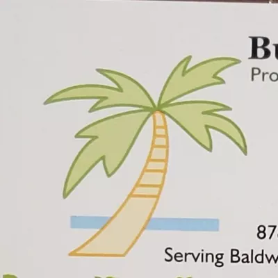 Buena Vista Cleaners