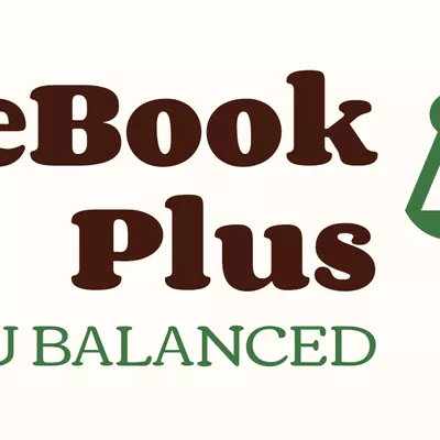 BalanceBook Plus