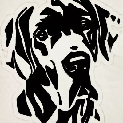 Big Dog Construction LLC