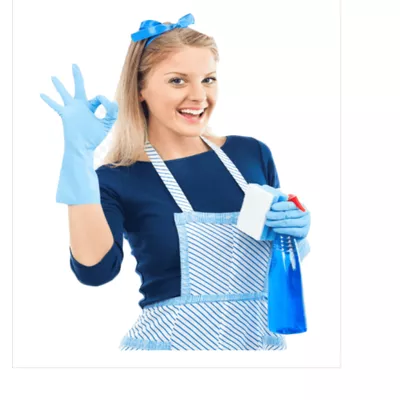 Remarkable Cleaning Services LLC