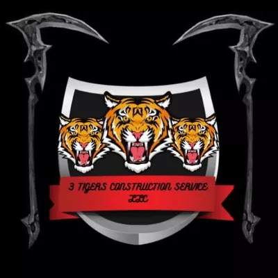 3 TIGERS CONSTRUCTION SERVICE’S
