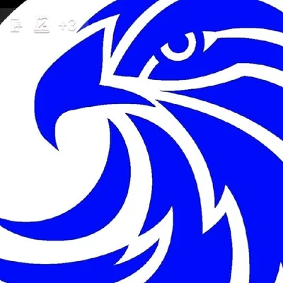 EAGLE CONSULTING