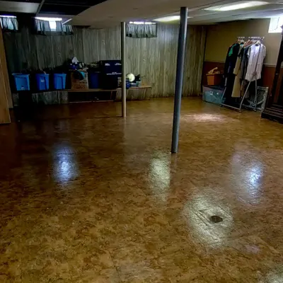 Friendly Eco Cleaning LLC