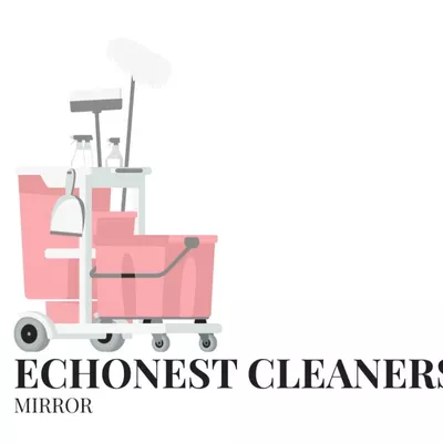 EchoNest Cleaners