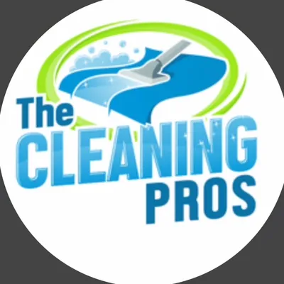 The Cleaning Pros