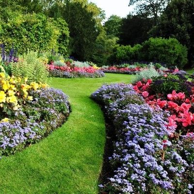 Dongo's Landscaping