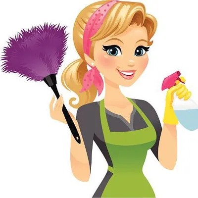 V&P home cleaning service llc