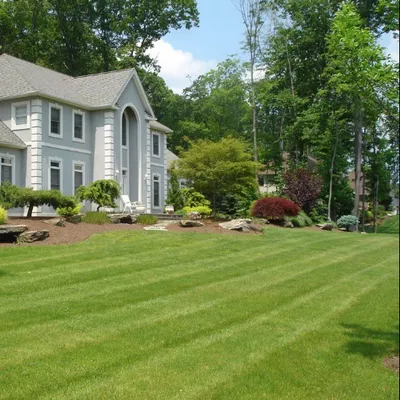 Home Management Landscaping