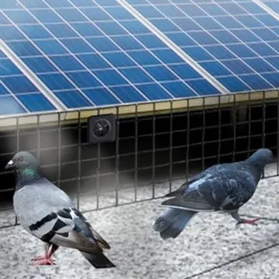 Project 1 Source Bird Guard Pros