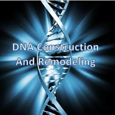 DNA Construction And Remodeling, LLC