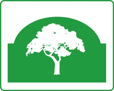 Alvarez Lawn Care Service