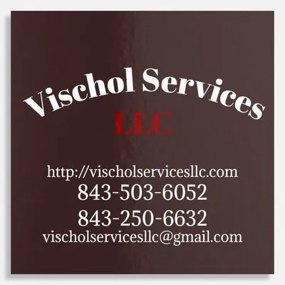 Vischol Services LLC