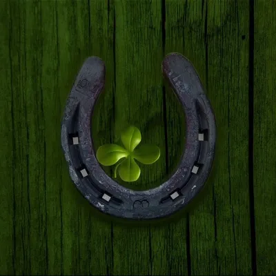 Salvador chavarin dba Tru luck construction