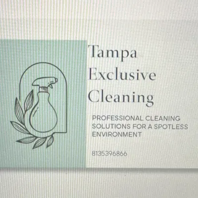 Tampa exclusive cleaning