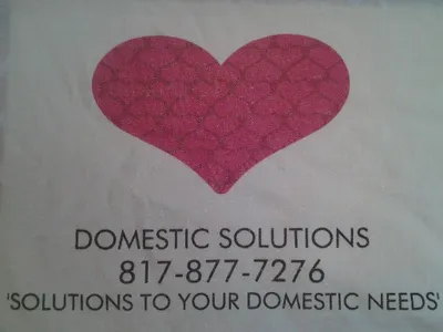 Domestic Solutions