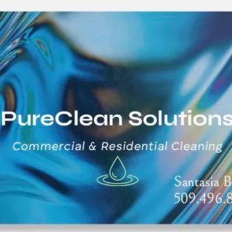 PureClean Solutions