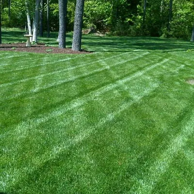 Blade Runnerz Lawn Service