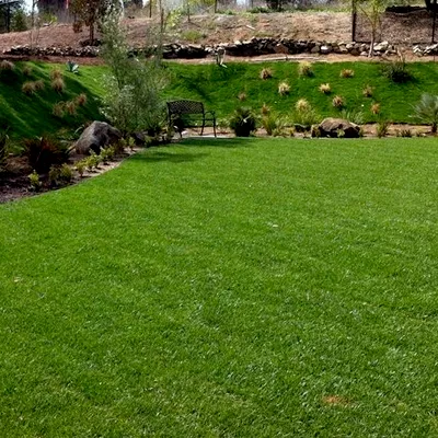 Lawns of OKC