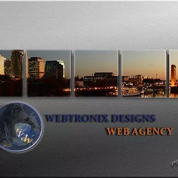 Webtronix Designs Web Agency