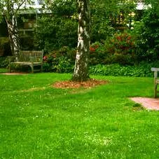 AAA lawn Service