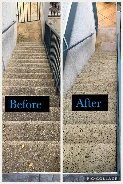 Go Pro Pressure Washing