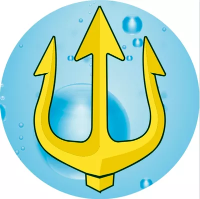 Trident Pro, LLC