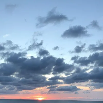 Moor shotz