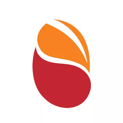Synapse | We build Mobile, Web & Agentic AI Apps