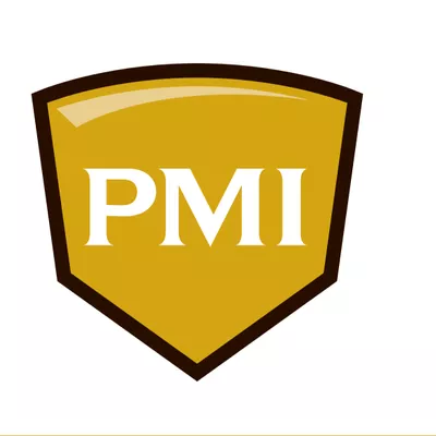 PMI American River
